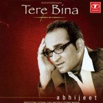 Tere Bina - Amitabh Bhattacharya Song Download